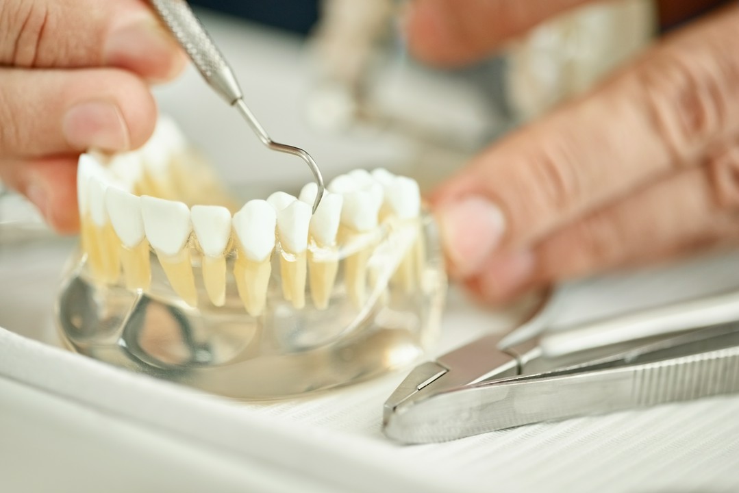 Usługi ortodontyczne